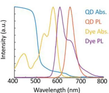 Figure 8. Absorption and emission spectra of CdSe/CdS QDs and Lumogen F red 300 dye. The  dye absorption band, in yellow, fits between the absorption and emission spectra of  the QDs