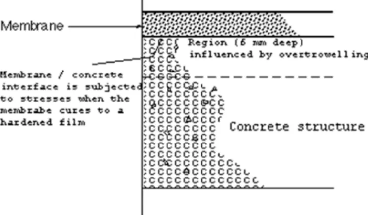 Figure 2.Elements of a coating system  for concrete