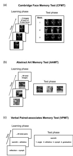 Figure 1. Schematic description of three main memory tests. In the learning phase, shown at left, the participant learns novel target stimuli