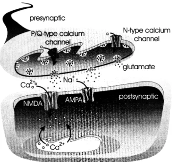 FIGURE 93.1. Thereapy utilizing neuroprotective agents target- target-ing mediators in the excitotoxic cascade.