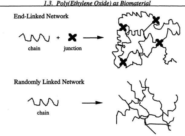 Figure 1-2.  PEO Networks.  End-linked  networks  have chemical crosslinking agents  and few chain ends  available for ligand derivatization