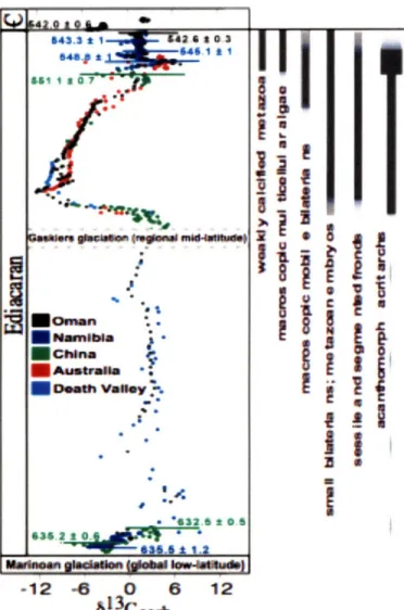 Figure  2:  Compilation  of  Ediacaran  8 1 3 Ccarb  from  sections  known  to  contain  the Shuram  excursion