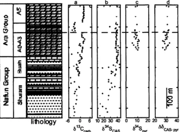 Figure  4:  Stratigraphic  column  for  the  Upper  Nafun  Group  and the  Ara  Group  strata  of the  Eastern  Flank  well  TM-6