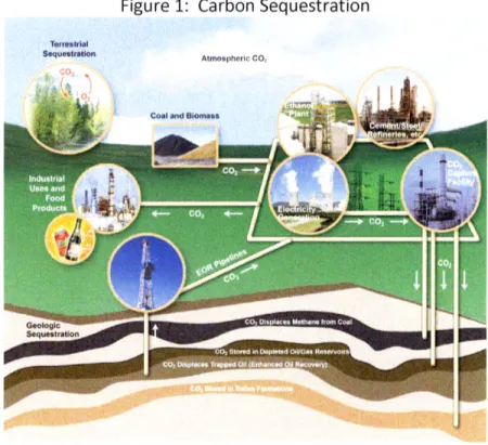 Figure  1:  Carbon  Sequestration