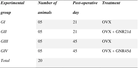 Table 1. Distribution of rats in different experimental groups. GI and GIII (control groups)  represent oophorectomized rats (OVX) without implants at postoperative days 21 and 45,  respectively; GII and GIV (experimental groups) represent oophorectomized 