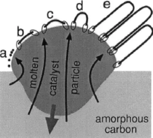 Figure  3-1:  A  proposed  mechanism  for  CNT  growth  is via  extrusion  of carbon atoms  from  a carbon-saturated  molten  catalyst  particle[4].