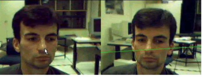 Figure 3 shows the epipolar line (on the right side) cor- cor-responding to the tip of the nose (on the left side) as  ob-tained for the stereo setup consisting of two Intel USB  web-cams shown in Figure 1