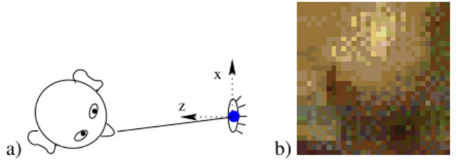 Figure 2: The nose seen by a camera: system of coordinates (a), the intensity values around the nose tip (b).