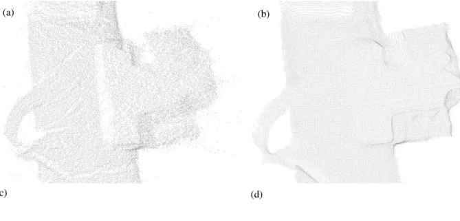 Fig. 8:  Generation of 3D surface models, (a) raw point cloud, (b) regular grid with filtered range, (c) wireframe mesh, (d) polygonized surface, (e) solid surface with artificial lighting effects, (f) solid surface with artificial lighting and measured in