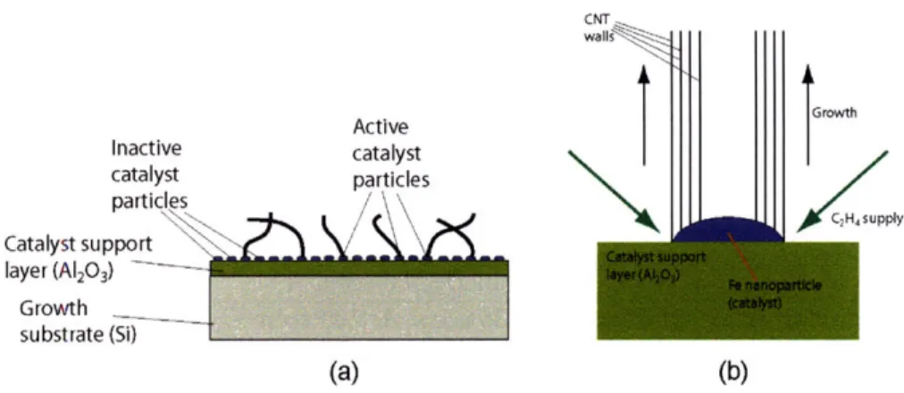 Figure  2-3:  Initial  stages  of  vertical  growth  with  base  growth.  (a)  Sketch  depicting  random initial growth  direction  and  inactive  catalyst  aprticles  which  don't  yield  CNTs