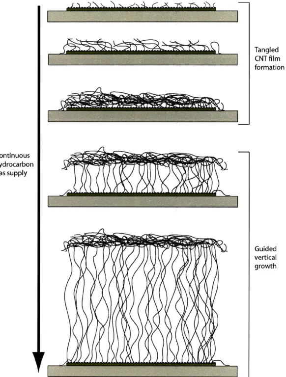 Figure  2-5:  Sketch  demonstrating  vertical  growth  of  CNTs  and  formation  of forests.