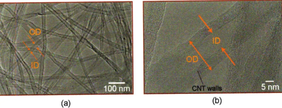 Figure  2-9:  (a) Typical TEM  image  used  to measure outer  diameter and  inner  diamter  of CNTs.