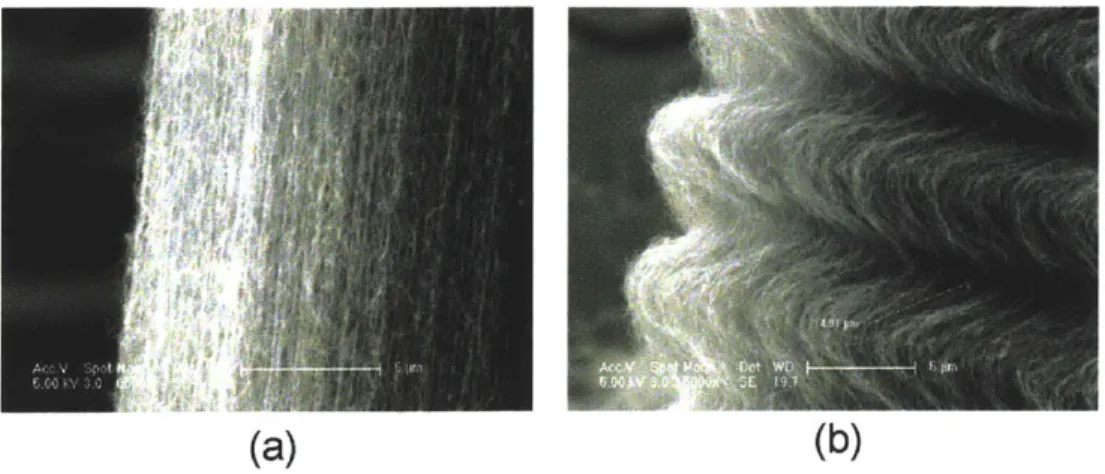 Figure  3-6:  (a)  Close  up  SEM  image  of a corner  from  a CNT  column  before  deformation  (fixed catalyst  growth  with  argon  flush)