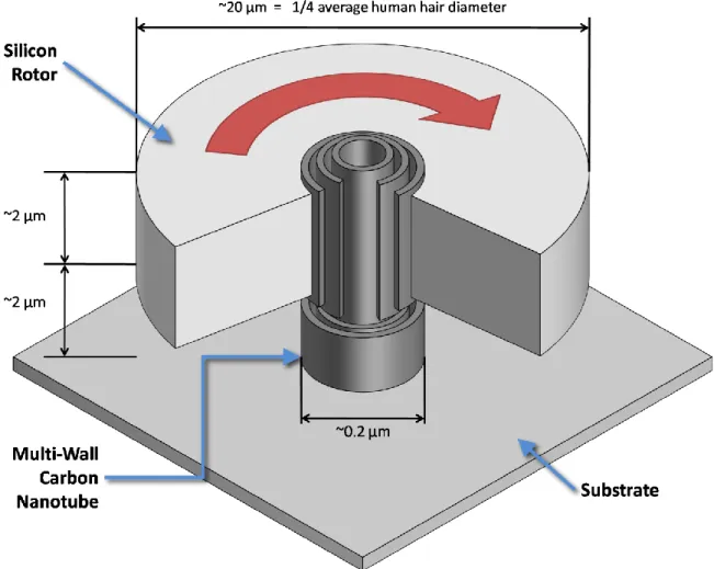 Figure 1-1: A schematic Illustration (not to scale) of the carbon nanotube rotor described here, with wedge-shaped cutaway  to show the nanotube structure