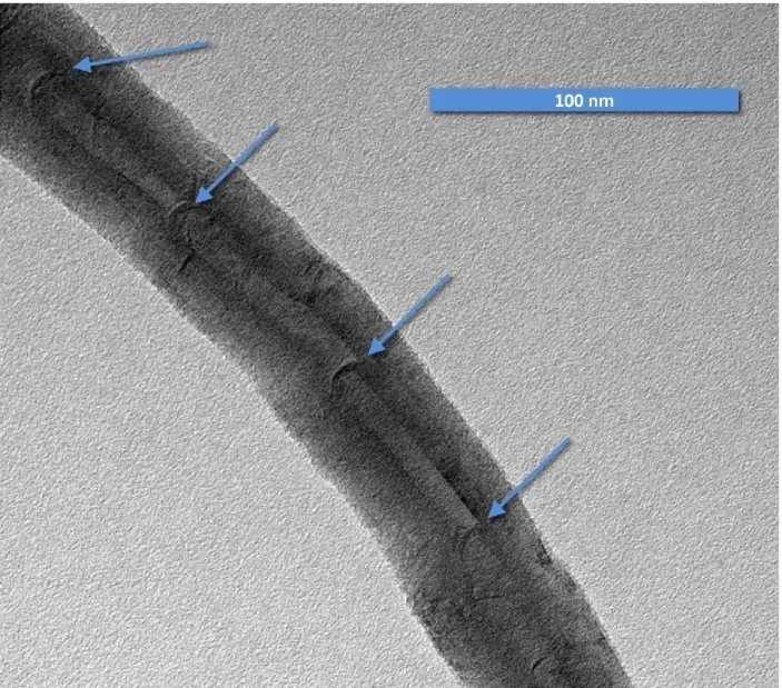Figure 2-7: Bamboo defects in a carbon nanotube. 