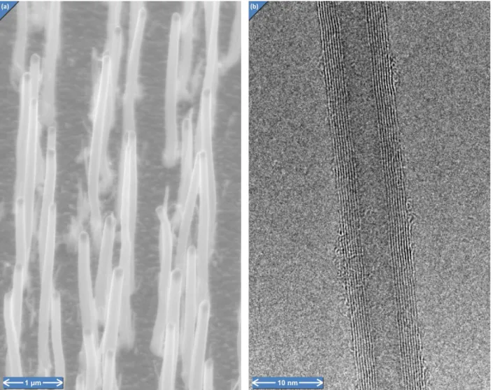 Figure  3-1:    Unprocessed  nanotubes,  (a)  produced  by  CVD  and  inspected  by  SEM,  and  (b)  produced  by  arc-discharge  and  inspected by TEM