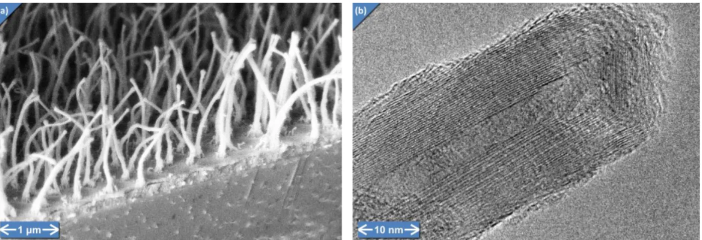 Figure 3-10: Oxygen ashing causes substantial damage to poor quality CVD nanotubes (a) and only some damage to the outer  walls of a high-quality arc-discharge CNT (b)