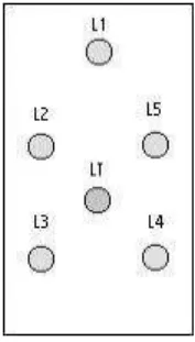 Figure 1.1: Kumar’s LED pattern