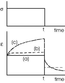 Figure 7: Rheological behaviours on a strain-time diagram, upon  the application of a stress