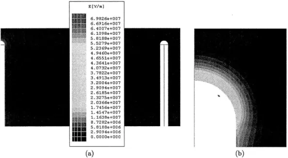 Figure 4-1:  Axisymmetric  Maxwell  SV  Simulation  of a  CNT tip  with a  30  nm radius with  2 pm  aperture  radius  at  1  V  andfor  the  horse-shoe  design:  (a)  the  entire  test