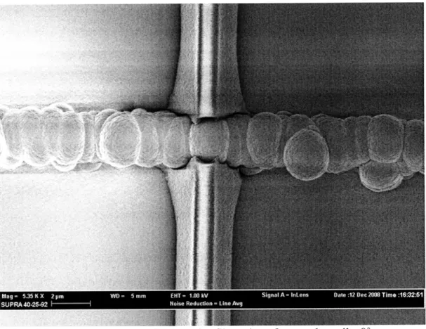 Figure  2-21.  Etch of exposed  u-Si on tips  of nanotubes,  tilt=0 0 .