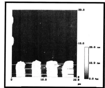 Figure  6 Atomic  Force  Microscope  (AFM) observation  after  molecular combing. A single  CNT is clearly visible  aligned with the  direction  of the pre-defined  microelectrodes