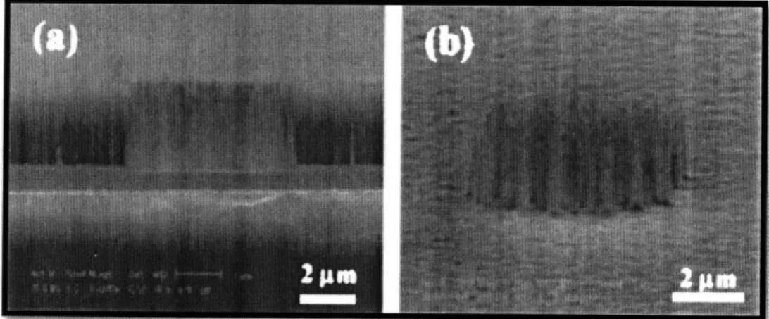 Figure 8  Trimmed  CNTs  via  CMP process:  (a) A  side view  of planarized  CNTs.  (b) An oblique view of the  planarized  CNTs