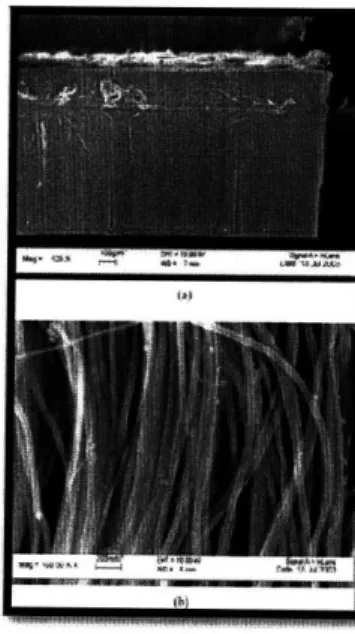 Figure  9  SEM  photographs  of ACNTs.  P35