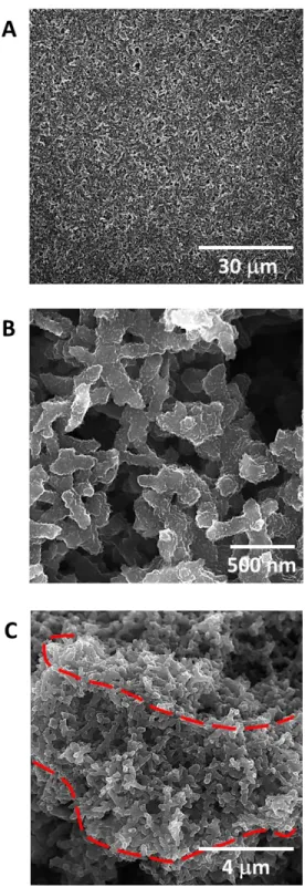 Figure S1. A. Top-down SEM image of PANI-only thin film. B. High-resolution SEM  image of PANI-only thin film