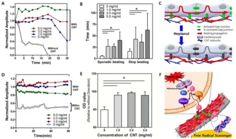 Figure 5. CNT protected cardiac tissues against damages by heptanol and doxorubicin Plots of spontaneous synchronous beating amplitude of cardiac tissues (5-day culture) on hydrogels with 0, 1, 3, 5 mg/ml CNTs over time in response to A) 4 mM heptanol and 