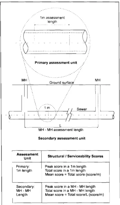 Figure  5.1  LSCCR  primary  and  secondary  assessment  units 