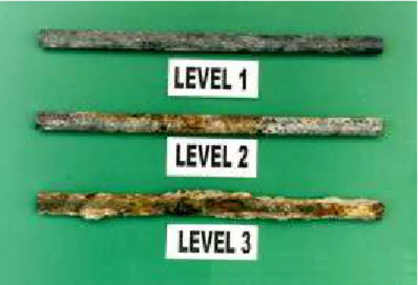 Figure 1.  Rebar samples representing the 3 levels of corrosion observed.