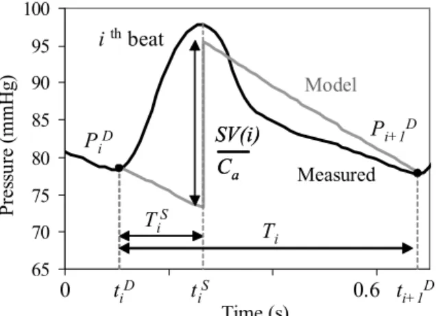 Fig. 2.  Waveform of measured peripheral ABP (black) and the theoretical  Windkessel model ABP (gray)