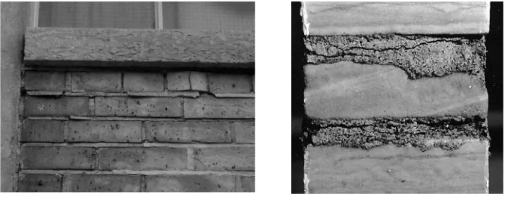 Figure 2. Frost damage 