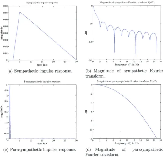 Figure  3-3:  Impulse  response  and  magnitude  of  Fourier  transform  of  sympathetic  and parasympathetic  filters