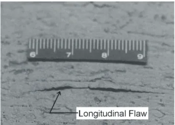 Figure 7.  Inclusion along a fracture surface.  (City of Ottawa)