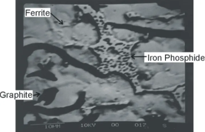 Figure 11.  Portion of iron phosphide network within pipe metal.  (City of Moncton)