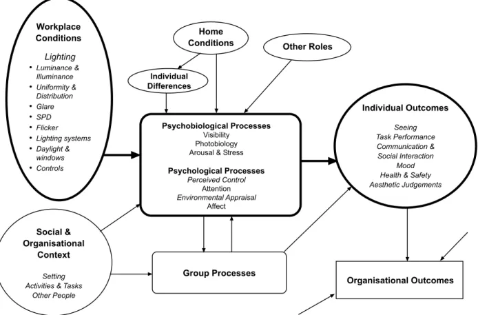 Figure 2.  Conceptual model showing relationships between lighting conditions, individual processes, and individual  outcomes