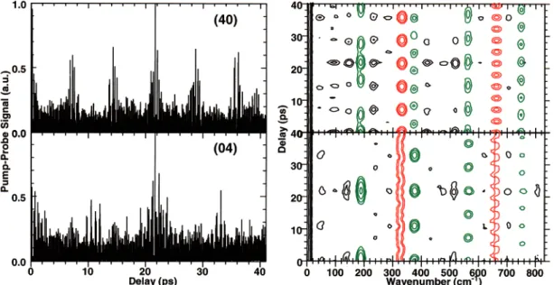 Figure 3 shows the effect of the vibrational symmetry of the final state on the time-resolved signals for the same wave packet as that in Figure 2c (i.e., a wave packet propagating along both coordinates)