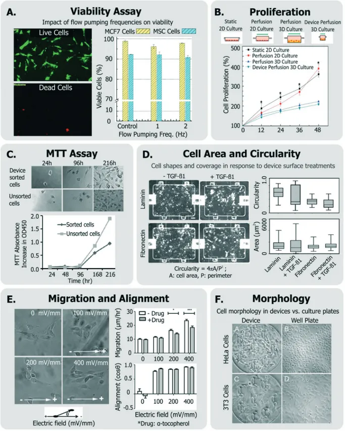 Fig. 3 Exemplary generic assays for measuring cell health. A. Viability of MCF7 and MSC cells assessed in response to device flow pumping rates using a live-dead assay (adapted from ref