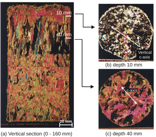 Figure 5  Vertical and Horizontal Thin Sections from Southern Allen Bay