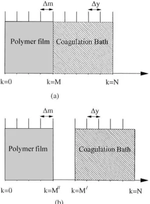 Fig. 1. Schematic of gird employed for discretization of governing equations (a) before phase separation, (b) after phase separation and formation of an interface.