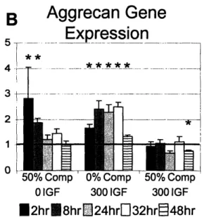 Figure 2.6.  Aggrecan  Protein  Synthesis compared  to  Aggrecan Gene Expression.  (A) Aggrecan protein  synthesis  as measured  by 35S radiolabel  incorporation  normalized  to 0%  compression  0 IGF-1  adapted  from Bonassar  et  al  [5]