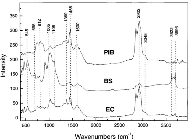 Figure 2. The PAS FTIR spectra for BS, EC and PIB samples.