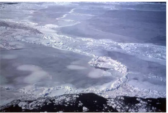 Figure 1 Photograph showing the initial formation of a ridge during the collision of very thin ice floes (photo from M
