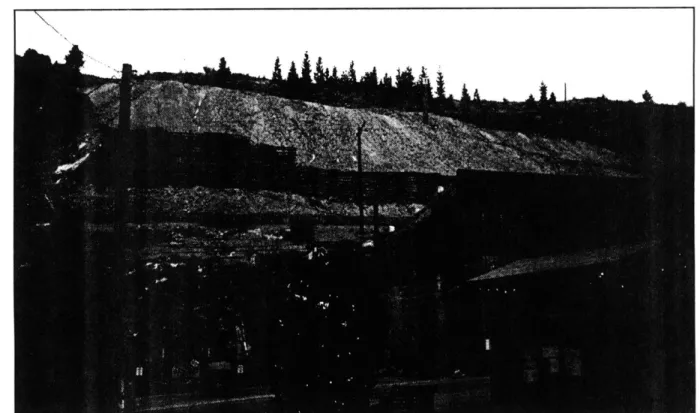 Figure  3.5  A Not Too  Stable Retaining  Wall  of Rotting  Logs Above Main  Road