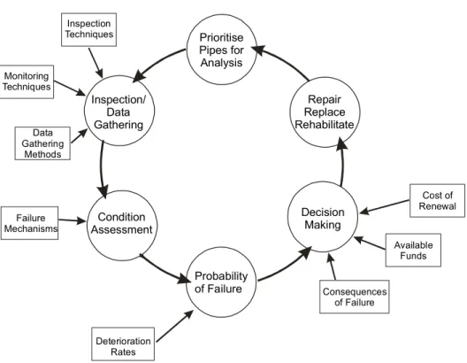 Figure 1.  The management cycle 