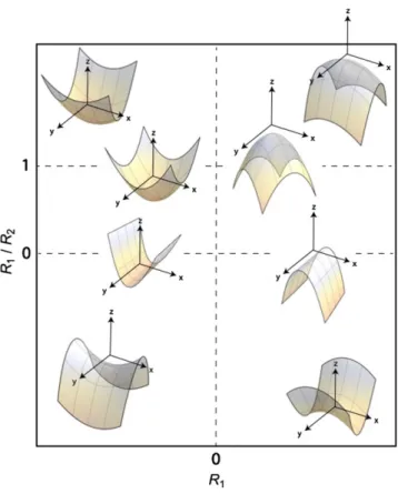 FIG. 3 (color online). Typical surface shapes for limiting cases corresponding to combinations of R 1 ¼  1 , R 2 ¼  3 and R 2 → ∞ (arbitrary units)