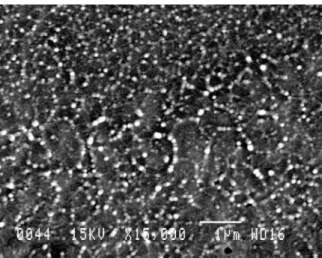 Fig. 10. SEM micrograph of the cryogenic fracture of the com- com-posite membrane SPEEK-70/TPA.