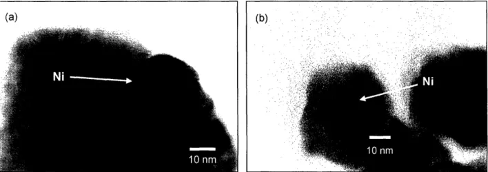 Figure  2.10.  Transmission  electron  micrograph  (JEOL  2010,  200  kV)  of  (a)  LaNiO 3 and  (b) ILaNi0